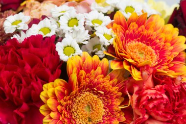 birçok çiçek bir arka plan olarak. Görünümü Kapat