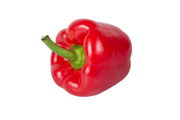 Peper — Stockfoto