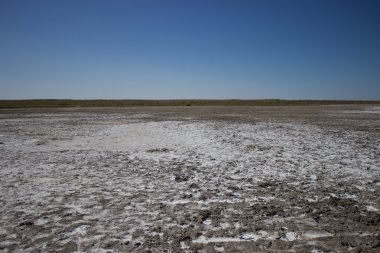 Kazachstan's mudbath