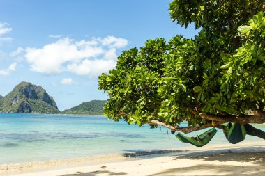 Bir adam Filipinler (El Nido Palawan Adası plaj hamakta kitap okuma)