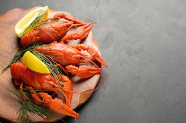 Limonlu ıstakoz ve siyah arkaplan manzaralı yeşil dereotu.