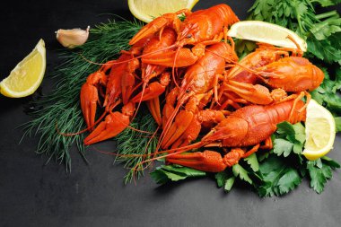 Siyah arka planda yeşil dereotlu limonlu ıstakoz.