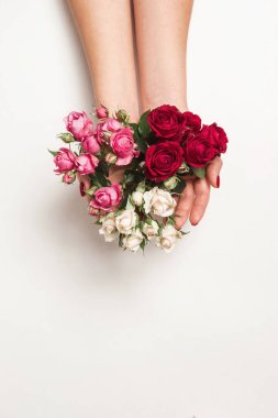 Çiçekler kızın ellerinde, üst manzara, küçük beyaz pembe güller beyaz arka plan