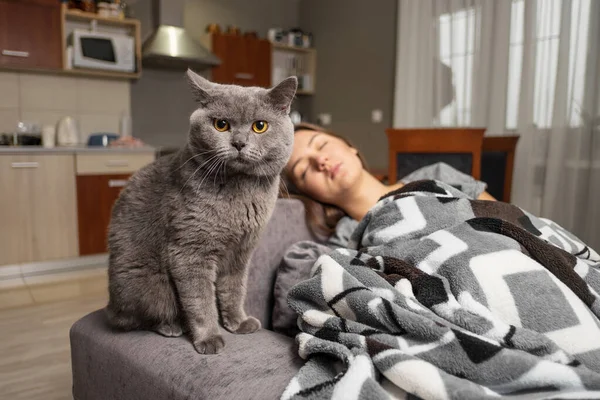 Jong Vrouw Slapen Met Haar Kat Kat Wachten Wanneer Meisje — Stockfoto