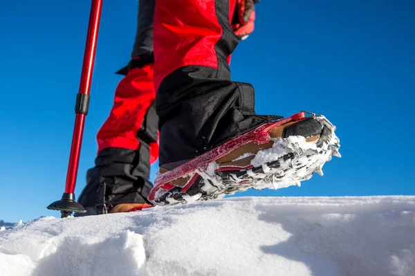 冬季のスノー シューズと靴を持つ雪の上を歩いてのビュー — ストック写真