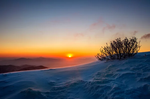 Salida del sol en las montañas Deogyusan cubiertas de nieve en invierno, Corea del Sur . —  Fotos de Stock