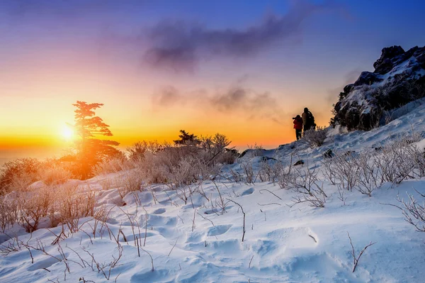 Mountaineer står på topp på vintern, Deogyusan nationalpark i Sydkorea och ta bild med kameran till soluppgång. Vackra ögonblick mirakel av naturen. — Stockfoto