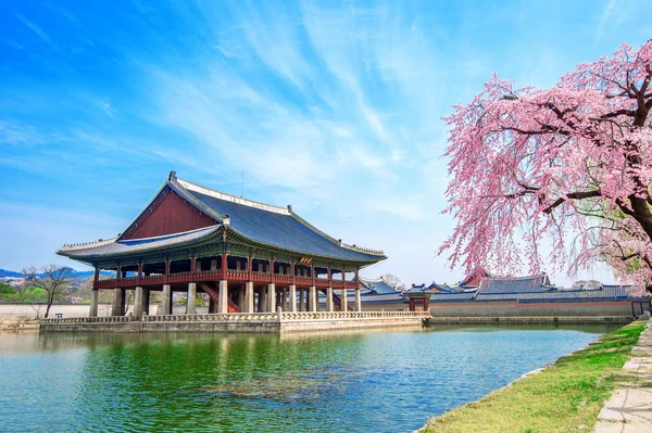 Gyeongbokgung Palace com flor de cereja na primavera, Coréia do Sul . — Fotografia de Stock