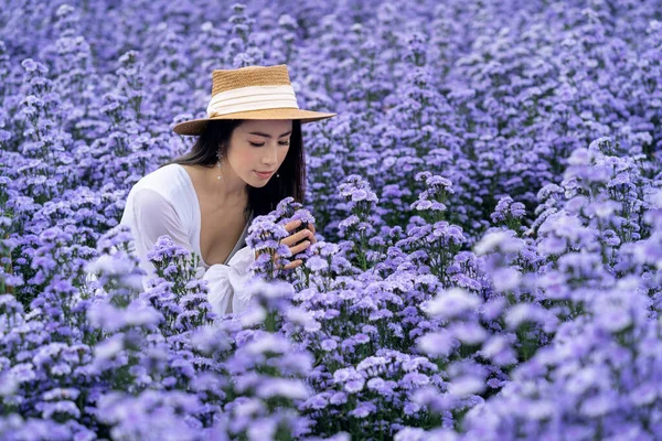 Beautiful Girl White Dress Sitting Margaret Flowers Fields Chiang Mai — Stock Photo, Image