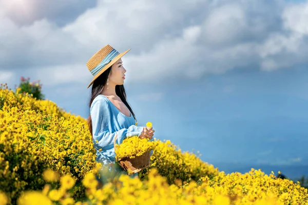 Hübsches Mädchen Genießt Chrysanthemen Feld Chiang Mai Thailand — Stockfoto