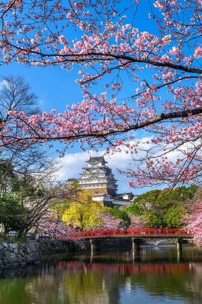 日本西吉的樱花和城堡 — 图库照片