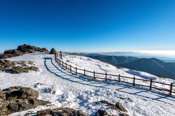 德裕山山顶山在冬季，韩国. — 图库照片