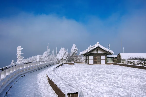 徳裕山は、冬の雪との朝の霧で覆われています。 — ストック写真