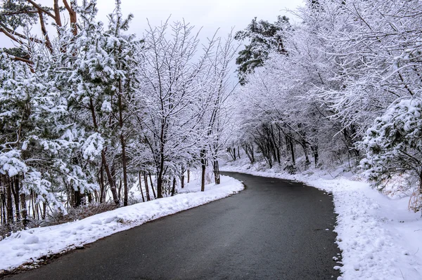 Landscape.korea χειμώνα — Φωτογραφία Αρχείου