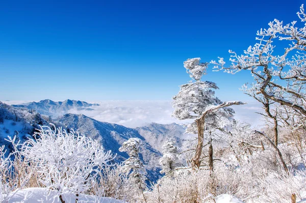 Seoraksan гір покриті ранковий туман взимку, Корея. — стокове фото
