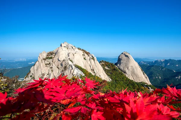 Pico Baegundae y montañas Bukhansan en otoño, Seúl en el sur — Foto de Stock