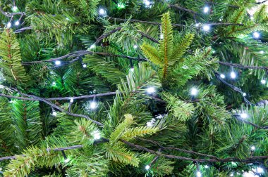 Chrismas ışıklar arka plan. Tatil arka plan.