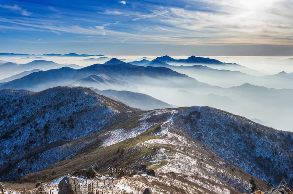 Paisaje invernal y niebla en las montañas Deogyusan, Corea del Sur . — Foto de Stock