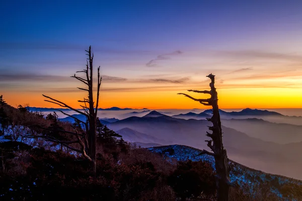 Silueta de árboles muertos, hermoso paisaje al atardecer en Deogy — Foto de Stock