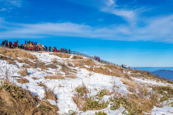 Deogyusan, Kore - 1 Ocak: güzel sahne fotoğraf çekmek ve Deogyusan Kayak turist — Stok fotoğraf