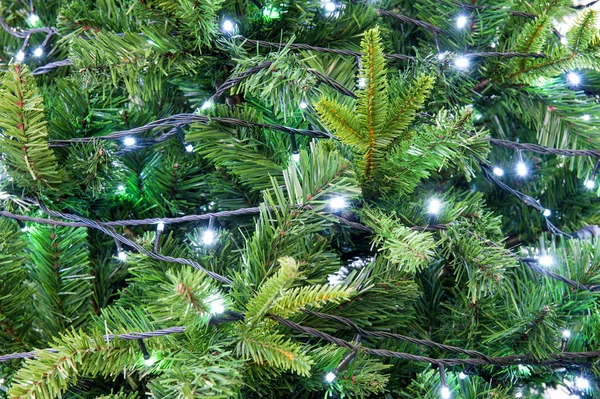 Chrismas lights background. Holiday background. — Stock Photo, Image