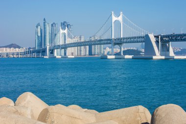 Gwangan köprü ve Haeundae Busan, Kore.