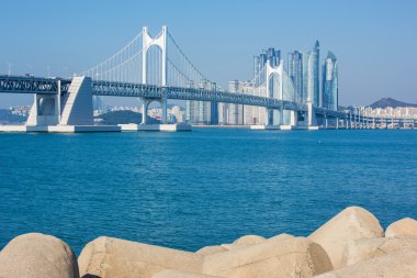 Gwangan köprü ve Haeundae Busan, Kore.
