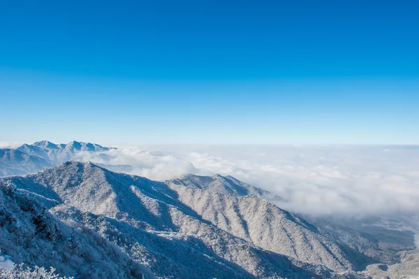 在冬天，韩国被晨雾覆盖 Seoraksan 山. — 图库照片