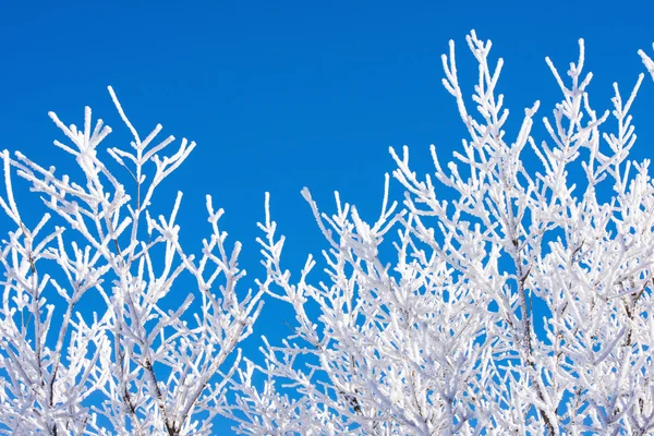 Landscape in winter,Deogyusan in korea. — Stock Photo, Image