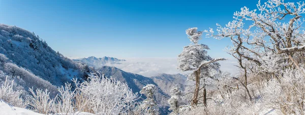 Panorama del invierno, Deogyusan en Corea . — Foto de Stock