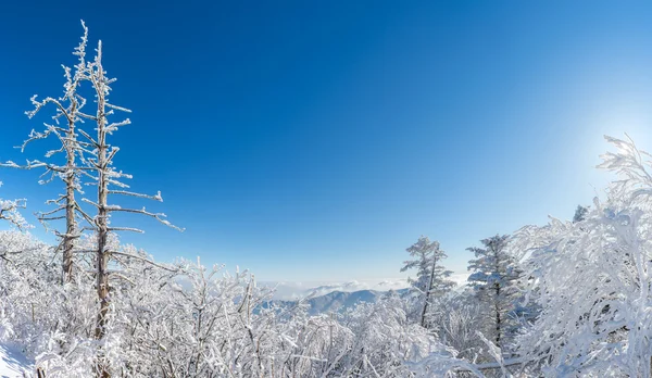 Panorama del invierno, Deogyusan en Corea . — Foto de Stock