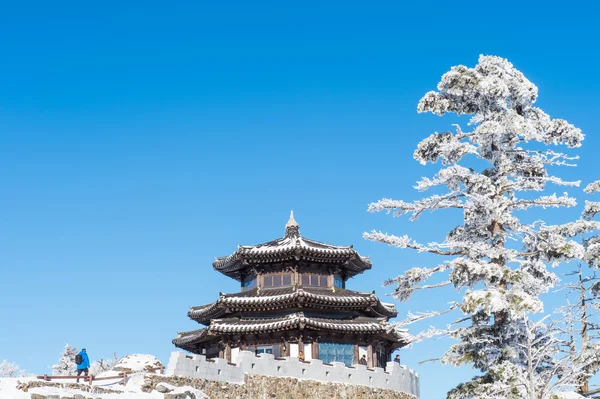 德裕山、 韩国-1 月 23 日: 游客拍照的美丽风光周围韩国德裕山. — 图库照片