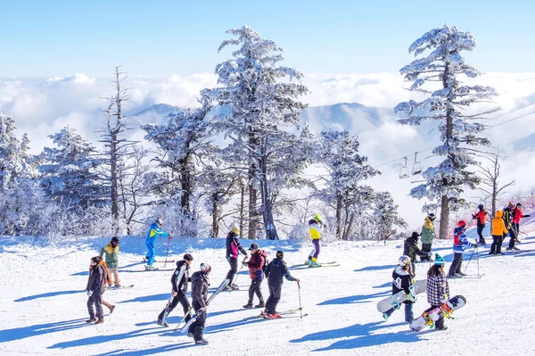 DEOGYUSAN,KOREA - JANUARY 23: Tourists taking photos of the beautiful scenery and skiing around Deogyusan,South Korea. — Stock Photo, Image