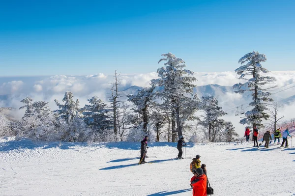 DEOGYUSAN, COREA - 23 DE ENERO: Turistas tomando fotos del hermoso paisaje y esquiando alrededor de Deogyusan, Corea del Sur . — Foto de Stock