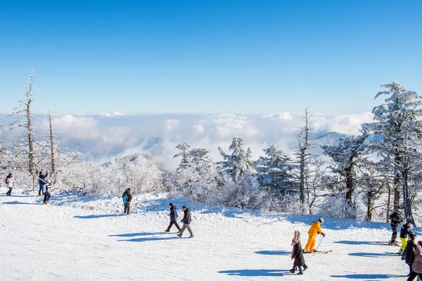 DEOGYUSAN, COREA - 23 DE ENERO: Turistas tomando fotos del hermoso paisaje alrededor de Deogyusan, Corea del Sur . — Foto de Stock