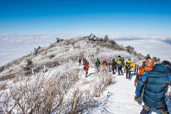 徳裕、韓国 - 1 月 23 日: 観光客周り徳裕, 南朝鮮の美しい風景の写真を撮る. — ストック写真