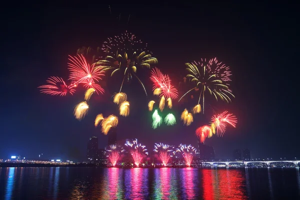 Feuerwerk in Korea. — Stockfoto