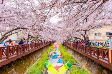 Jinhae, Kore - 4 Nisan: Jinhae Gunhangje festivaldir en büyük kiraz çiçeği Festivali Kore'de.