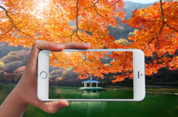Tangan memegang ponsel pintar mengambil foto di warna musim gugur di Naejangsan, korea — Stok Foto