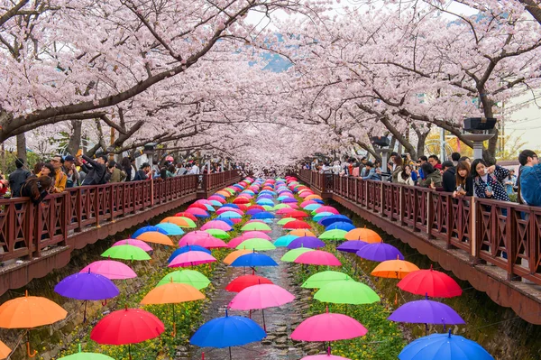 Jinhae, Korea - 4 April: Jinhae Gunhangje Festival är den största cherry blossom festivalen i Korea. — Stockfoto