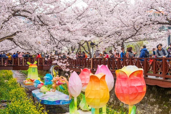 Jinhae, Κορέα - 4 Απριλίου: Jinhae Gunhangje Φεστιβάλ είναι η μεγαλύτερη γιορτή κερασιού ανθίσει στην Κορέα. — Φωτογραφία Αρχείου