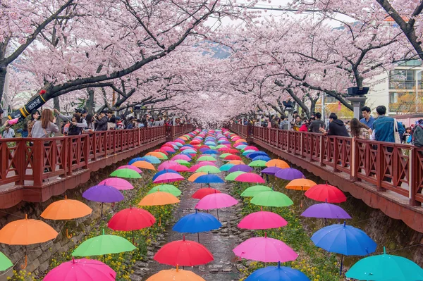 JINHAE,KOREA - APRIL 4 :Jinhae Gunhangje Festival is the largest cherry blossom festival in Korea. — Stock Photo, Image