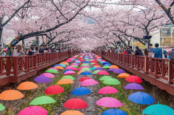 Jinhae, Kore - 4 Nisan: Jinhae Gunhangje festivaldir en büyük kiraz çiçeği Festivali Kore'de.