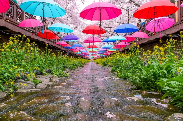 Jinhae, Korea - 4 April: Jinhae Gunhangje Festival är den största cherry blossom festivalen i Korea. — Stockfoto