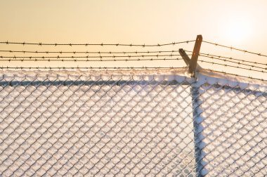 Gün batımında kar ile dikenli tel çit.