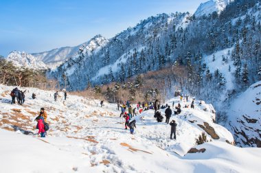 Seoraksan, Kore - 21 Şubat: turist çekim güzel sahne etrafında Seoraksan, Güney Kore