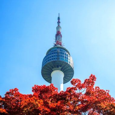Namsan Mountain Güney Kore'de Seul Kulesi ve kırmızı sonbahar akçaağaç yaprakları.