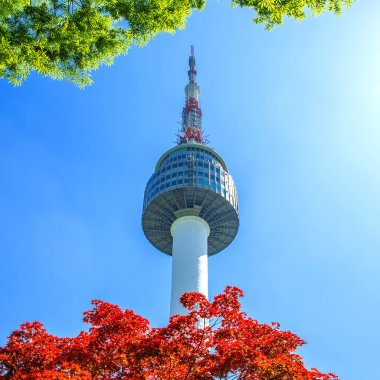 Namsan Mountain Güney Kore'de Seul Kulesi ve kırmızı sonbahar akçaağaç yaprakları.