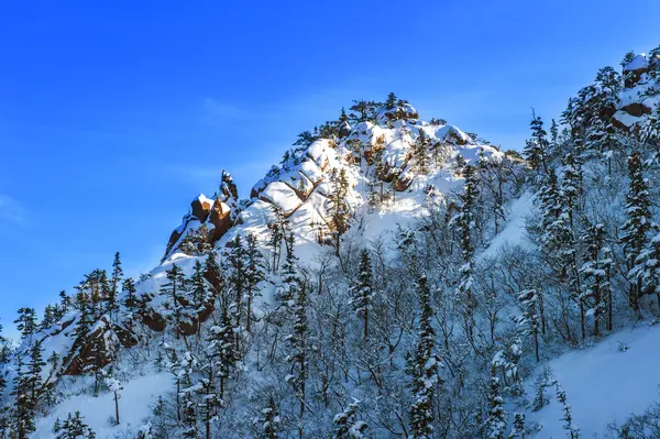 Seoraksan kış, ünlü dağ içinde Korea. — Stok fotoğraf