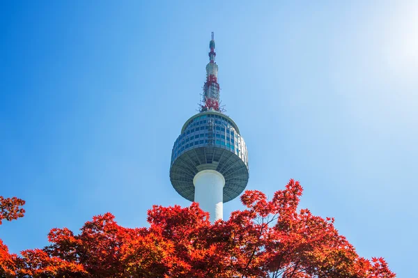 Namsan Mountain Güney Kore'de Seul Kulesi ve kırmızı sonbahar akçaağaç yaprakları. — Stok fotoğraf